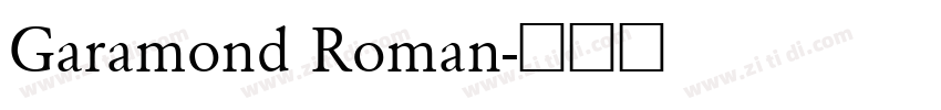 Garamond Roman字体转换